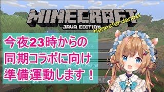 【#マインクラフト】今夜23時からの初めての同期コラボに向け、準備運動します！【#エリーコニファー】
