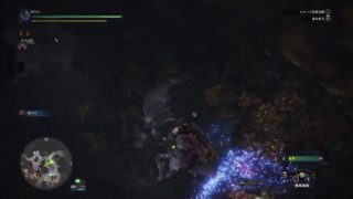 【MHW】＃38　弓ソロで珠集めたり。　モンスターハンター：ワールド　[PS4pro]