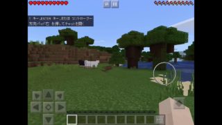 マインクラフト実況プレイしてみた