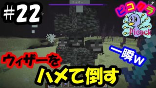 【ピコクラ】ウィザー5体討伐します【マインクラフト実況】#22