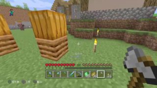 【マイクラ】参加OK。マインクラフトをまったりと。村作りたいな。25【PS4】