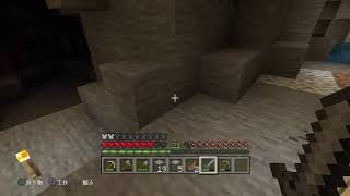 「PS4」作業枠マインクラフト