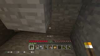 マインクラフト　堀田か堀田以外か....