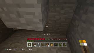 マインクラフト　堀田か堀田以外か....