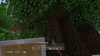 マインクラフトダイヤ帯