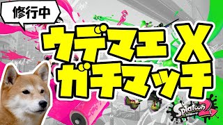 【スプラトゥーン2】ウデマエX ガチマッチ！【プライム】