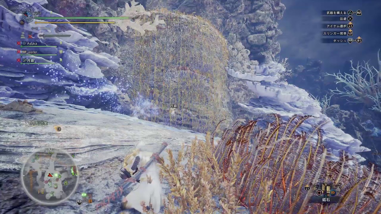 モンスターハンターワールド　かわいい重ね着がほしい乙女達のアステラ祭、歴戦王やってみるよ！　２１