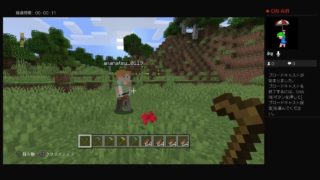 慎重派のマインクラフトRTA（クワ編）