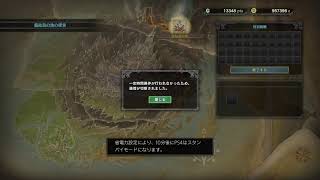 モンスターハンターワールド　ハンターランク84がどかへいく