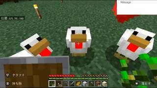 【Switch】マインクラフト！Part6