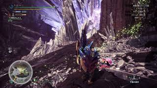 モンスターハンターワールド