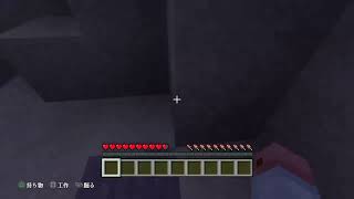 初心者二人のマインクラフト　PS4配信