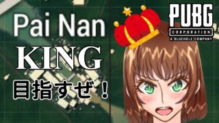 【PUBG実況】リラ、パイナンキングになる！【二日目】