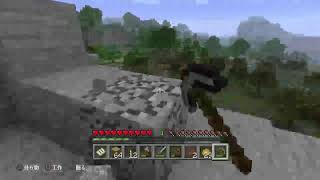 マインクラフト　サバイバル