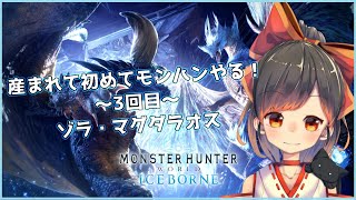 【MHWI 】モンスターハンターワールド：アイスボーンの前にモンハンワールドを始めます
