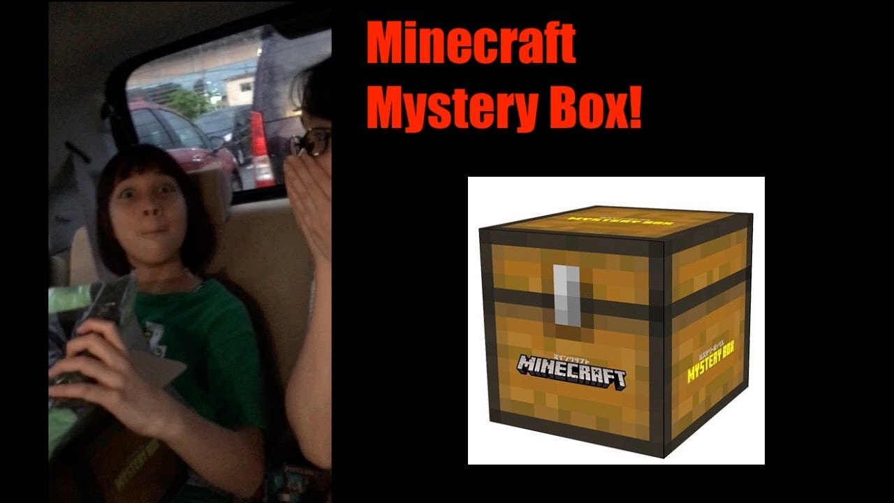Diary #93 Unboxing Minecraft Mystery Box -マインクラフト・ミステリーボックス