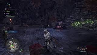 モンスターハンターワールドアイスボーン