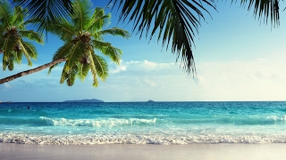 あにぃ＆子供　の　マインクラフト　＃6