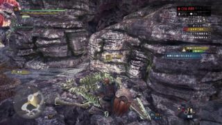 初めてのモンスターハンターワールド＃5