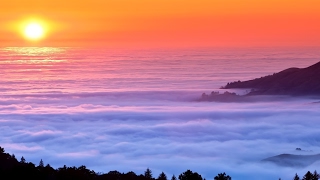 スプラトゥーン２生配信参加型!!