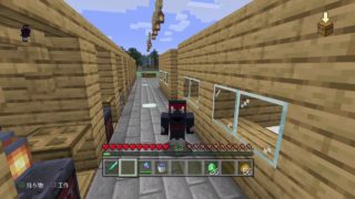 【マイクラ】のんびりマインクラフト【PS4】