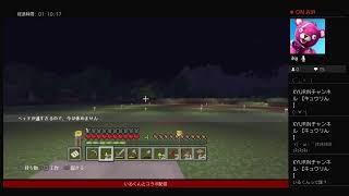 マインクラフトコラボ配信！！いるくんと