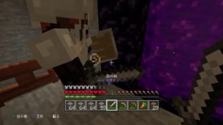 [生放送]マインクラフトやる