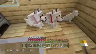 全く知識のない男が行くサバイバル生活♯6（マインクラフト）