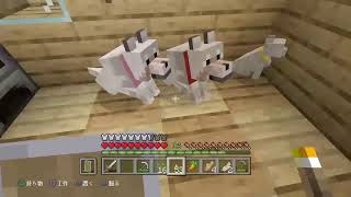 全く知識のない男が行くサバイバル生活♯6（マインクラフト）