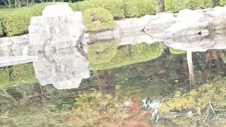 PS4 PUBG　スクリム　9月14日　SpX&joyG連合