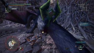 【MHWI】新米ハンターの再起奮闘 #11【モンハンワールド アイスボーン】