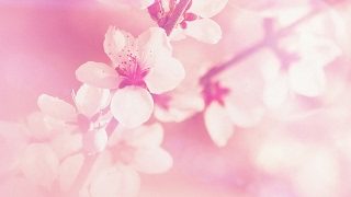 モンスターハンターワールド・アイスボーン　ガロン亜種武器とヴァルフリューゲルの試すだけ