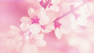 モンスターハンターワールド・アイスボーン　ガロン亜種武器とヴァルフリューゲルの試すだけ