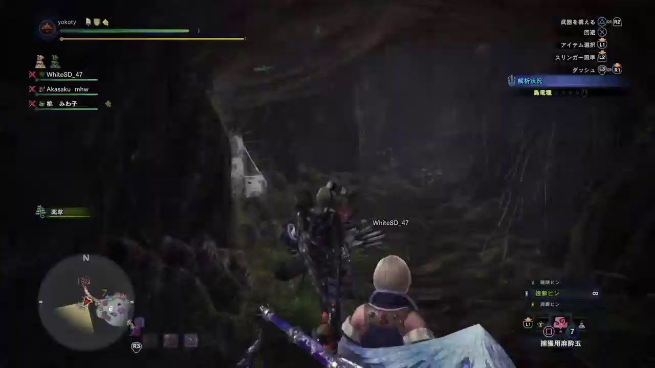 [モンスターハンターワールドアイスボーン]MHWIB　導きの地で朝狩り