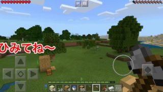 マインクラフト【あまくら。】家と、家の内装と畑を作る！！part3