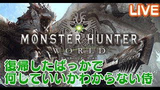 【モンハンW】アイスボーン楽しみで復帰しました【モンスターハンターワールド】