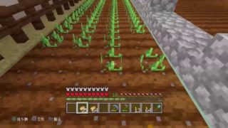 ［マインクラフト］　まったり村を発展させていく