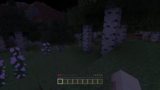 マインクラフト参加型PS4