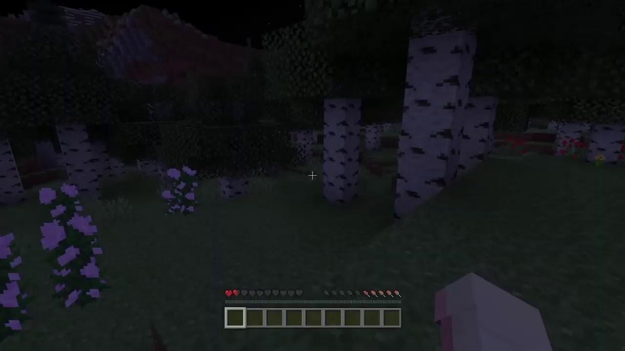 マインクラフト参加型PS4