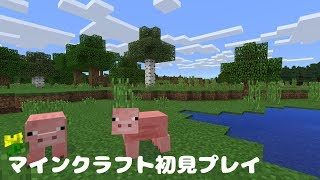 【統合版】マインクラフト初見プレイ#3