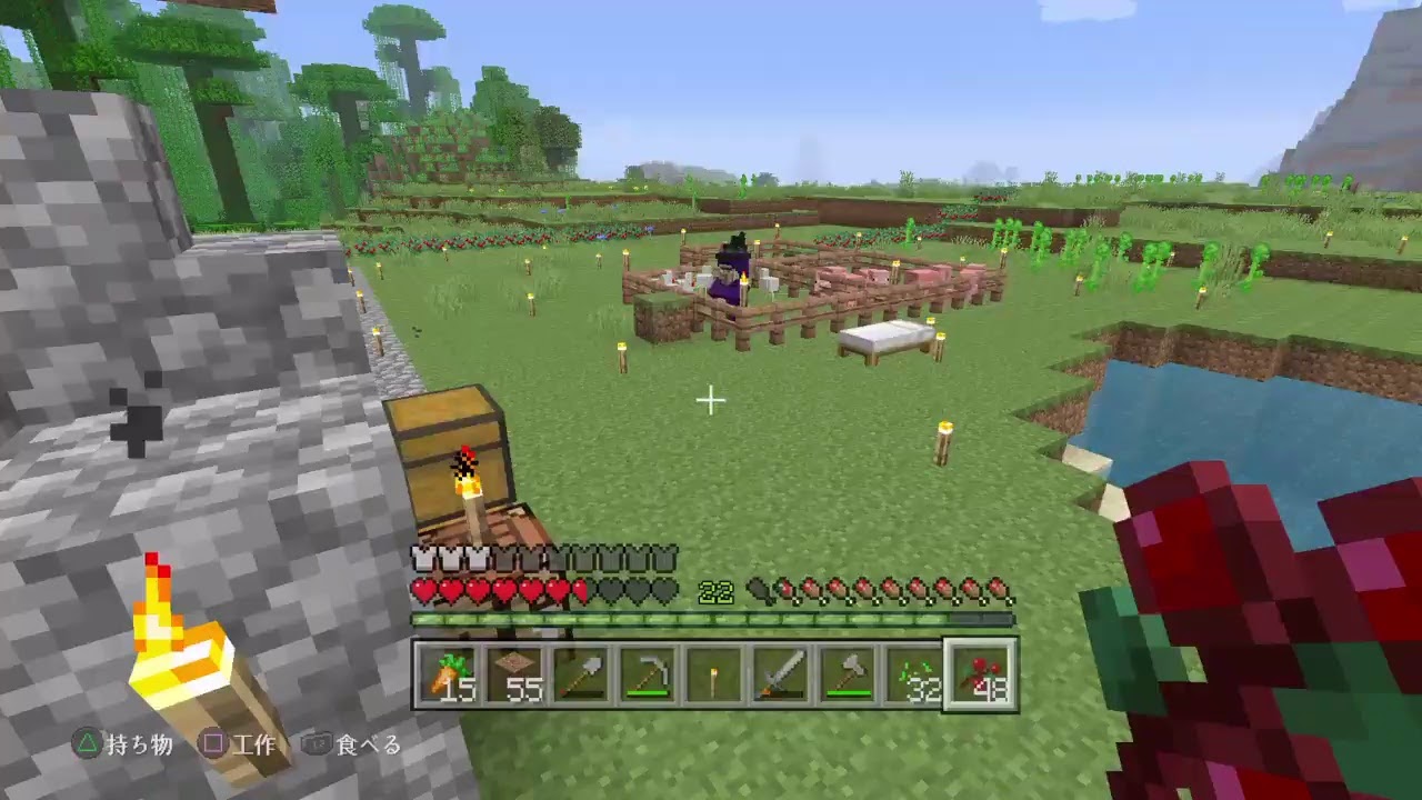 あにぃ＆子供　の　マインクラフト　＃5