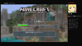 マインクラフトを黙々と。