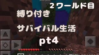 [マインクラフト]趣味人が縛り付きサバイバル生活してみた２世界目pt4