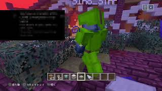 参加型マインクラフト（配布）