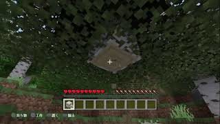 ［参加型？w]今夜も眠気が来るまで！雑談マインクラフト