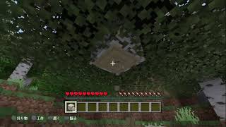 ［参加型？w]今夜も眠気が来るまで！雑談マインクラフト