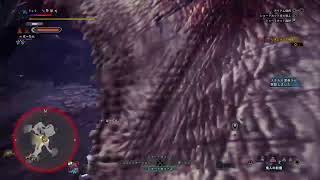モンスターハンターワールド　ライブ配信