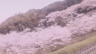 ［女性配信］のんびり実況配信　回線弱者が行く！PUBG　参加型配信