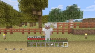 まるをクラフト［PS4版マインクラフト］＃8【生放送】【視聴者参加型】