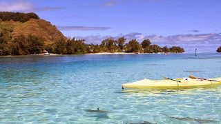 マイクラ Minecraft マインクラフト